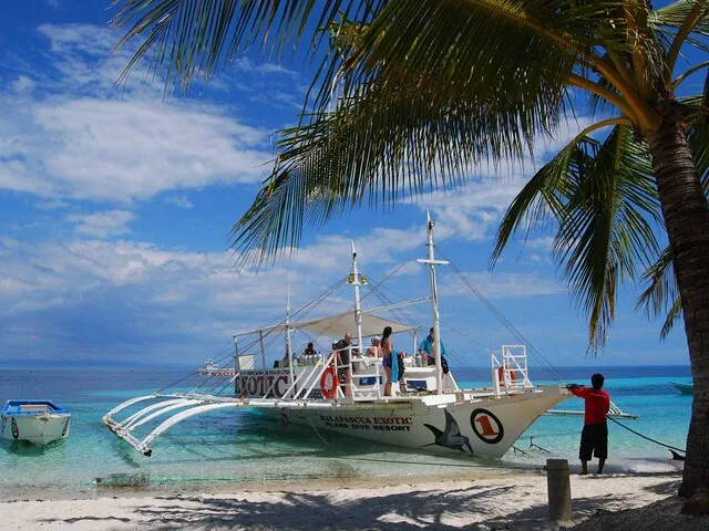 A white outrigger boat anchored on a sandy beach under palm trees.