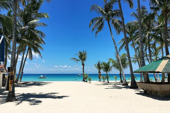 Wit zandstrand met hoge palmbomen en turquoise oceaanwater