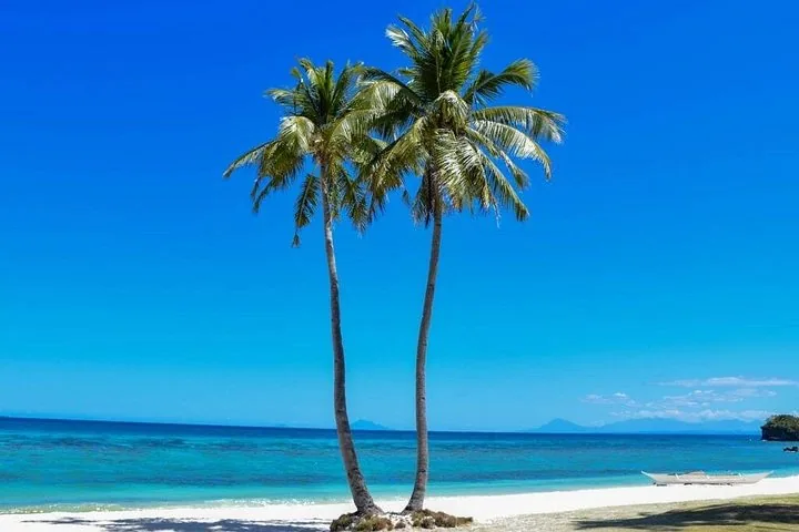 Two tall palm trees on a white sand beach near the ocean