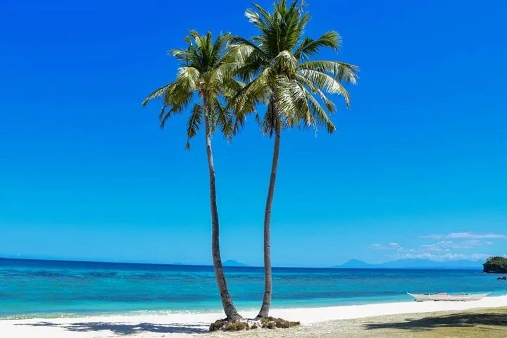 Zwei hohe Palmen an einem weißen Sandstrand mit klarem blauem Ozean im Hintergrund.