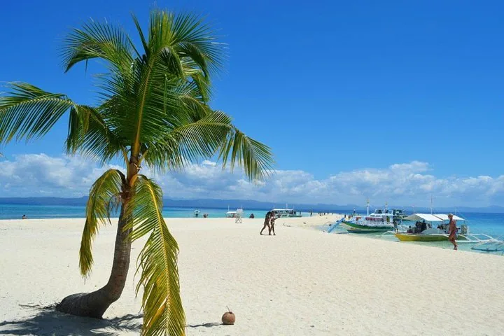 Palme an einem weißen Sandstrand mit Booten und Menschen in der Ferne